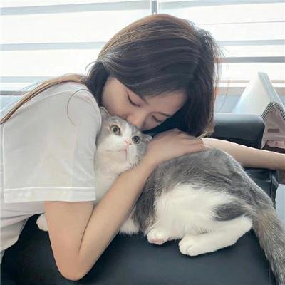 猫行东方