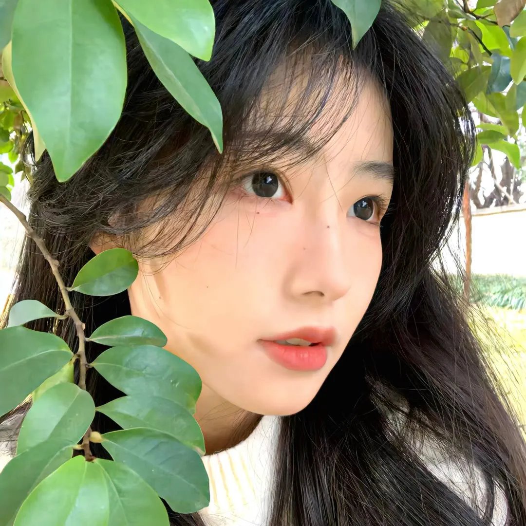 双生赤狐